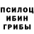 Галлюциногенные грибы Psilocybine cubensis giemPRO 2266