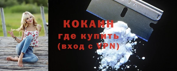 сатива Заводоуковск