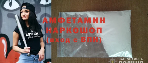 шишки Заволжье