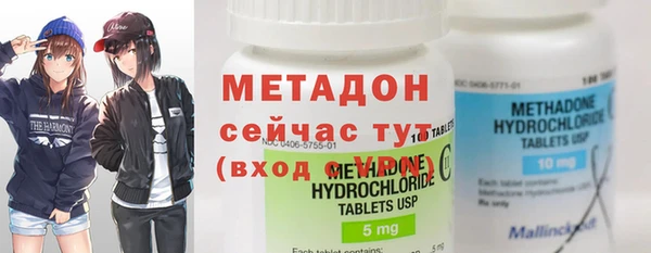 шишки Заволжье