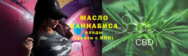 шишки Заволжье