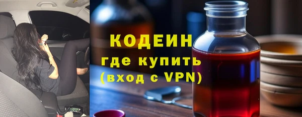 сатива Заводоуковск