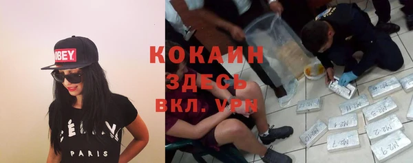 сатива Заводоуковск