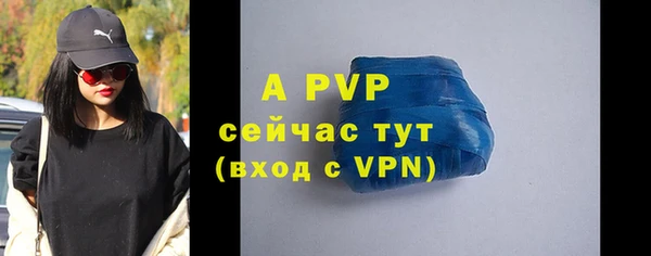шишки Заволжье