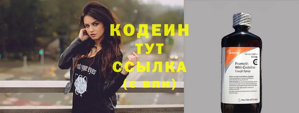 шишки Заволжье