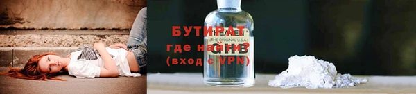 шишки Заволжье