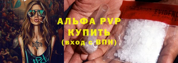 шишки Заволжье