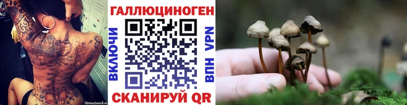 Псилоцибиновые грибы мицелий  Купить  Аткарск 
